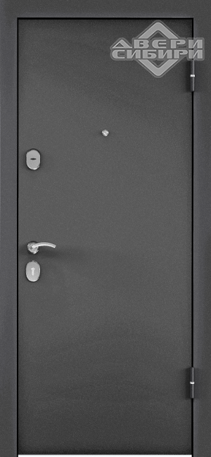 Дверь входная Х5 Темно-серый букле графит, вн. Дуб беленый C6-9