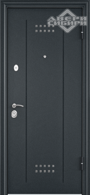Дверь входная DELTA PRO ЗЕРКАЛО Темно-серый букле графит DL-2, вн. Лиственница белая DM