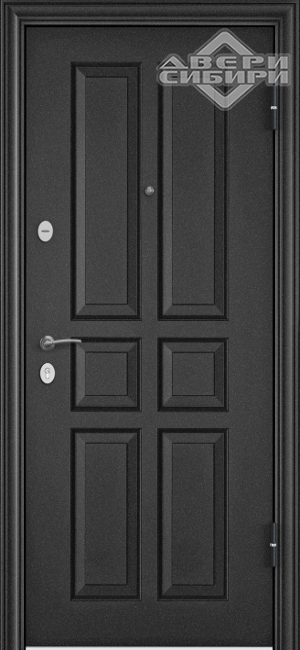 Дверь входная DELTA PRO Темно-серый букле графит VDM-1 вн. Перламутр белый D6-34